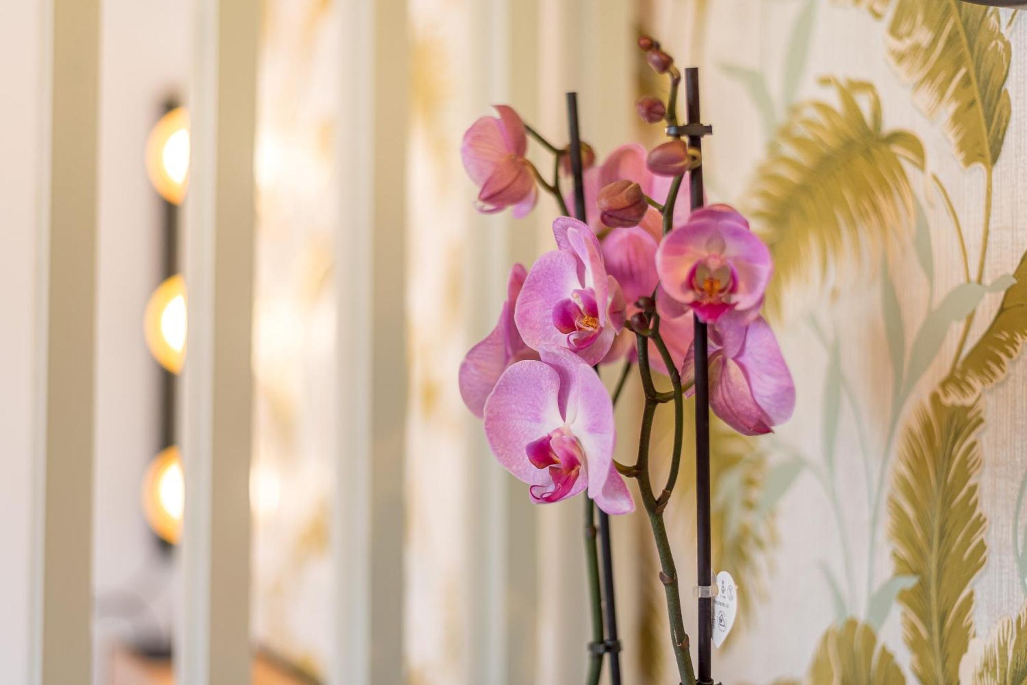 Urban Luxe Studio Torremoilinos Torremolinos Eksteriør bilde